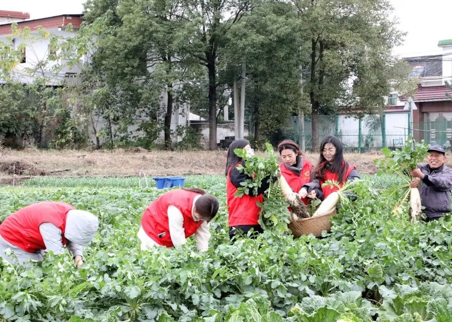 讓員工吃上放心菜│“通鼎愛心菜籃子”工程啟動