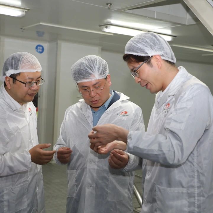 筑防线·扬清风·传红魂│通鼎集团成功举办党风廉政教育月主题活动
